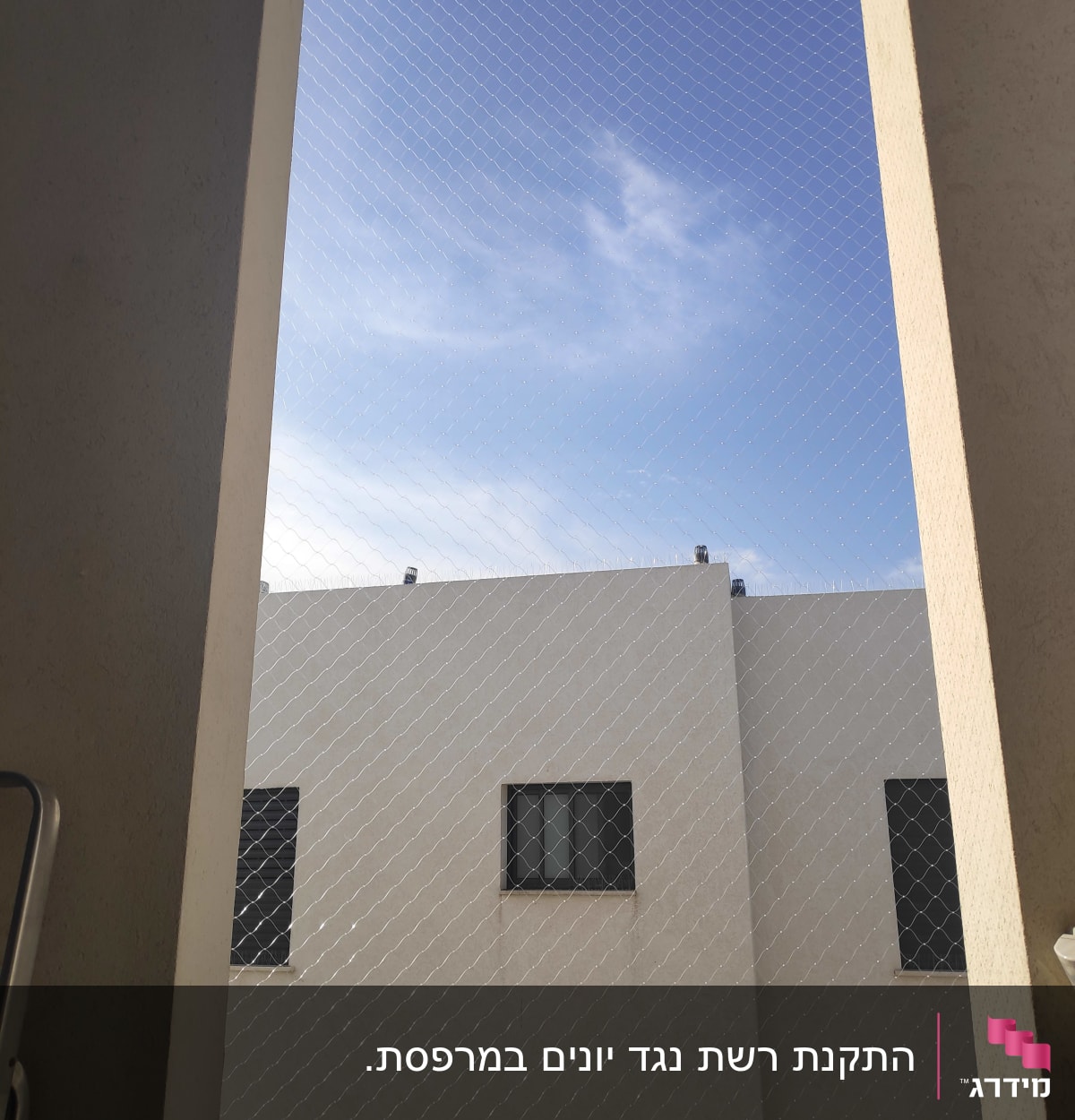 רשת נגד יונים מותקנת על חלון בניין